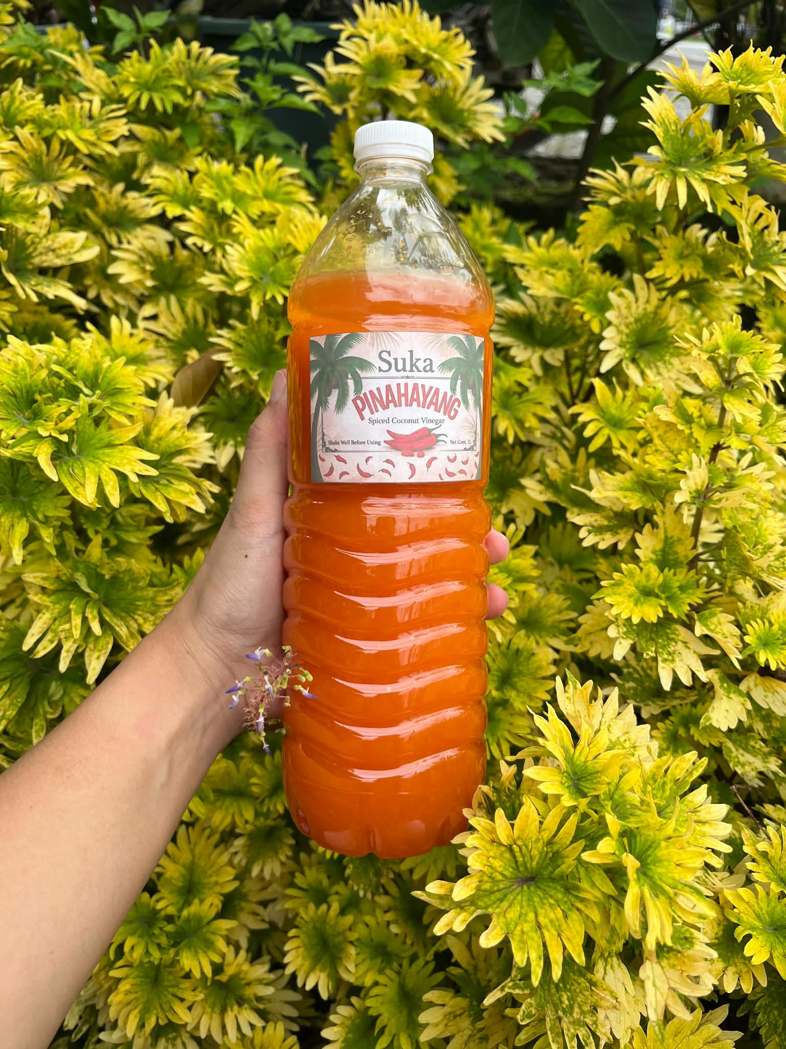SUKA PINAHAYANG(SUKANG HINALANG)
