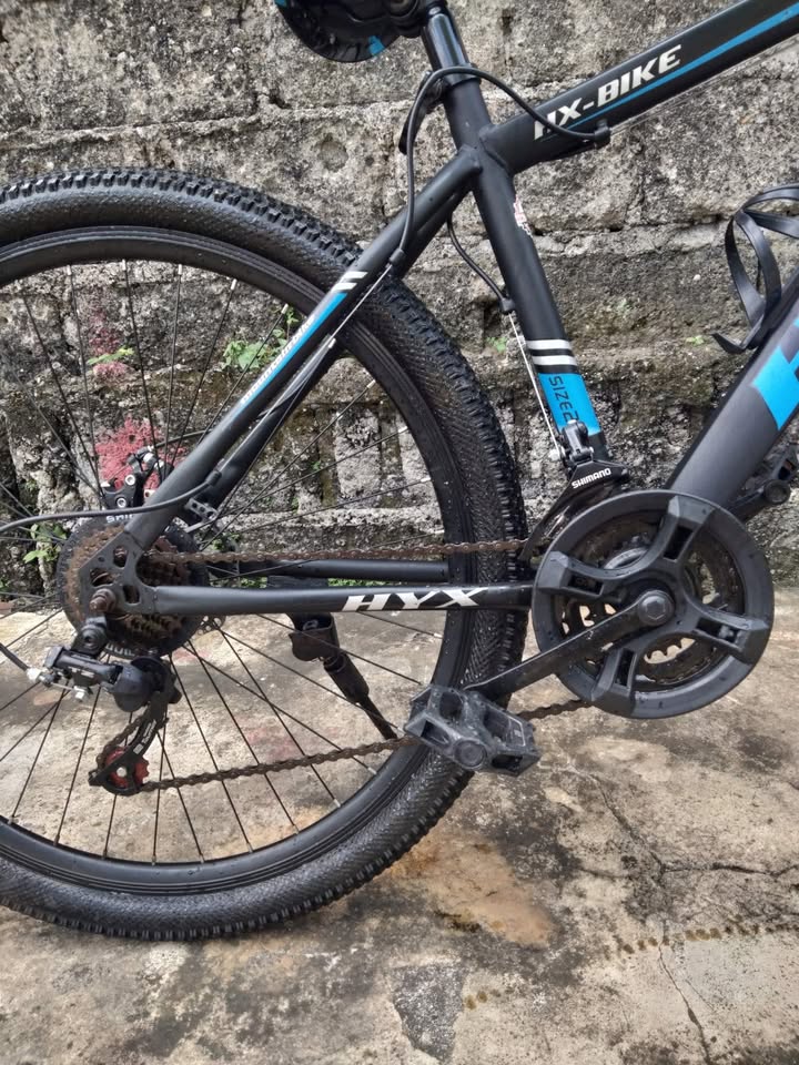 Mountain Bike